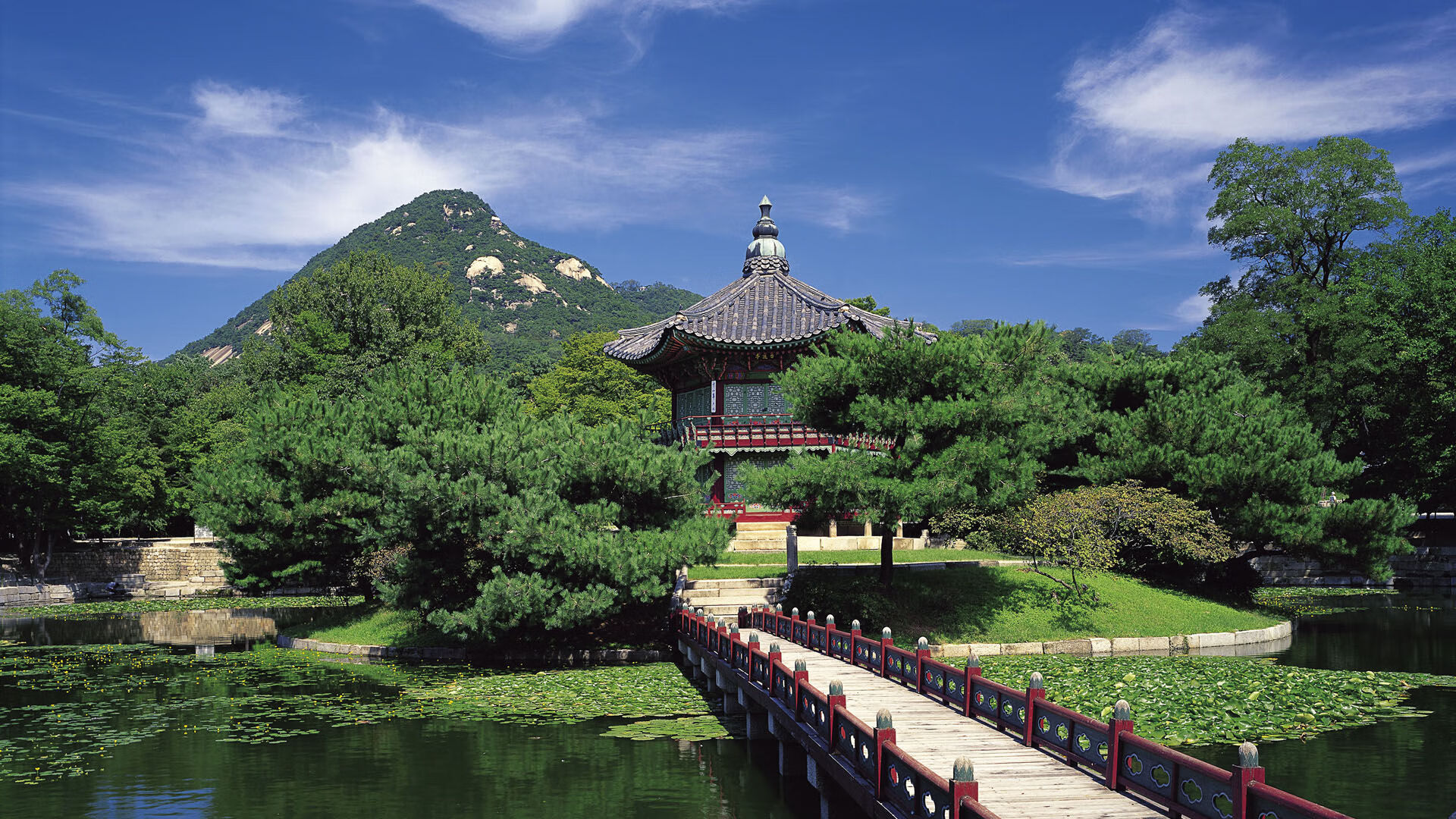 英国棉纺织业发展的原因是什么（英国棉纺织业快速发展的条件）